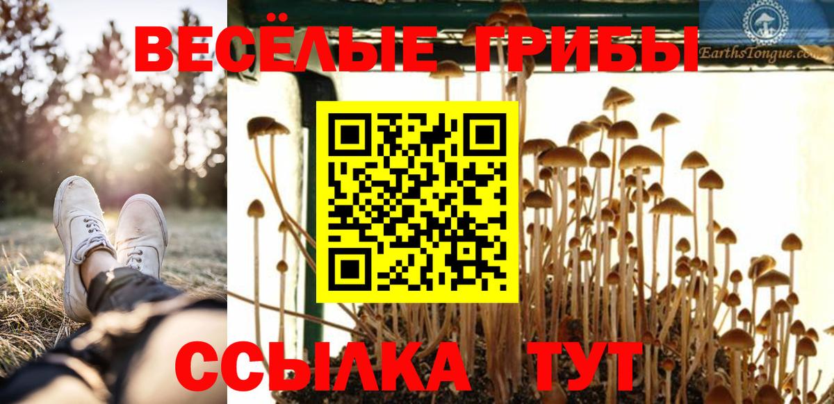 Псилоцибиновые грибы MAGIC MUSHROOMS Куйбышев