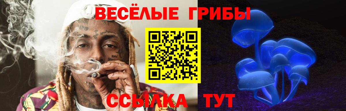 Галлюциногенные грибы Magic Shrooms  Галлюциногенные грибы мицелий  Куйбышев  Вход с VPN 